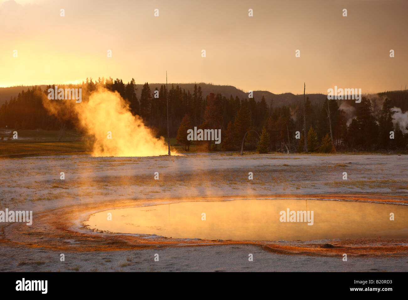 Upper Geyser Basin Yellowstone National Park Banque D'Images