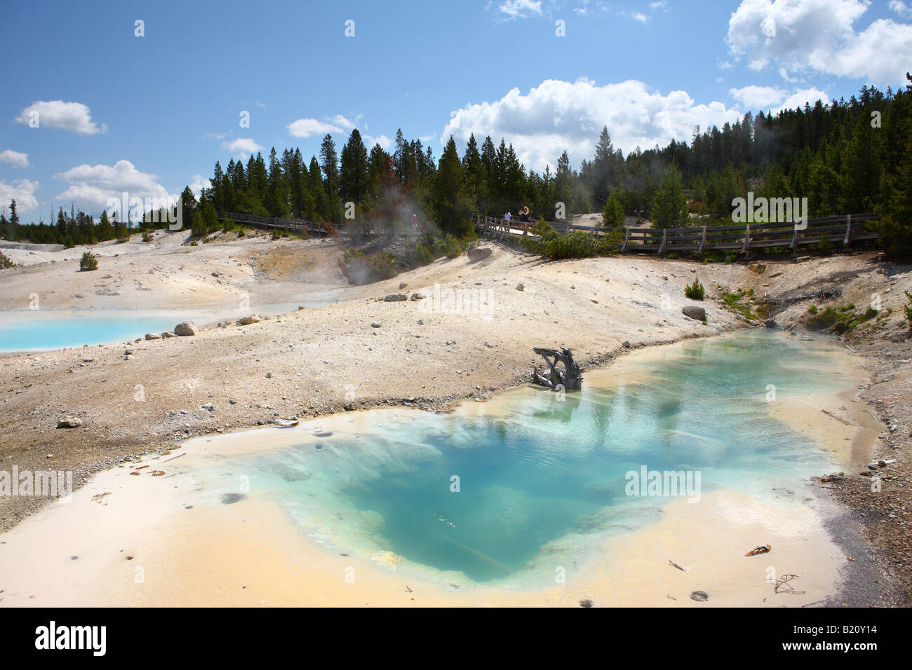 Norris Geyser Basin Le Parc National de Yellowstone au Wyoming USA Banque D'Images