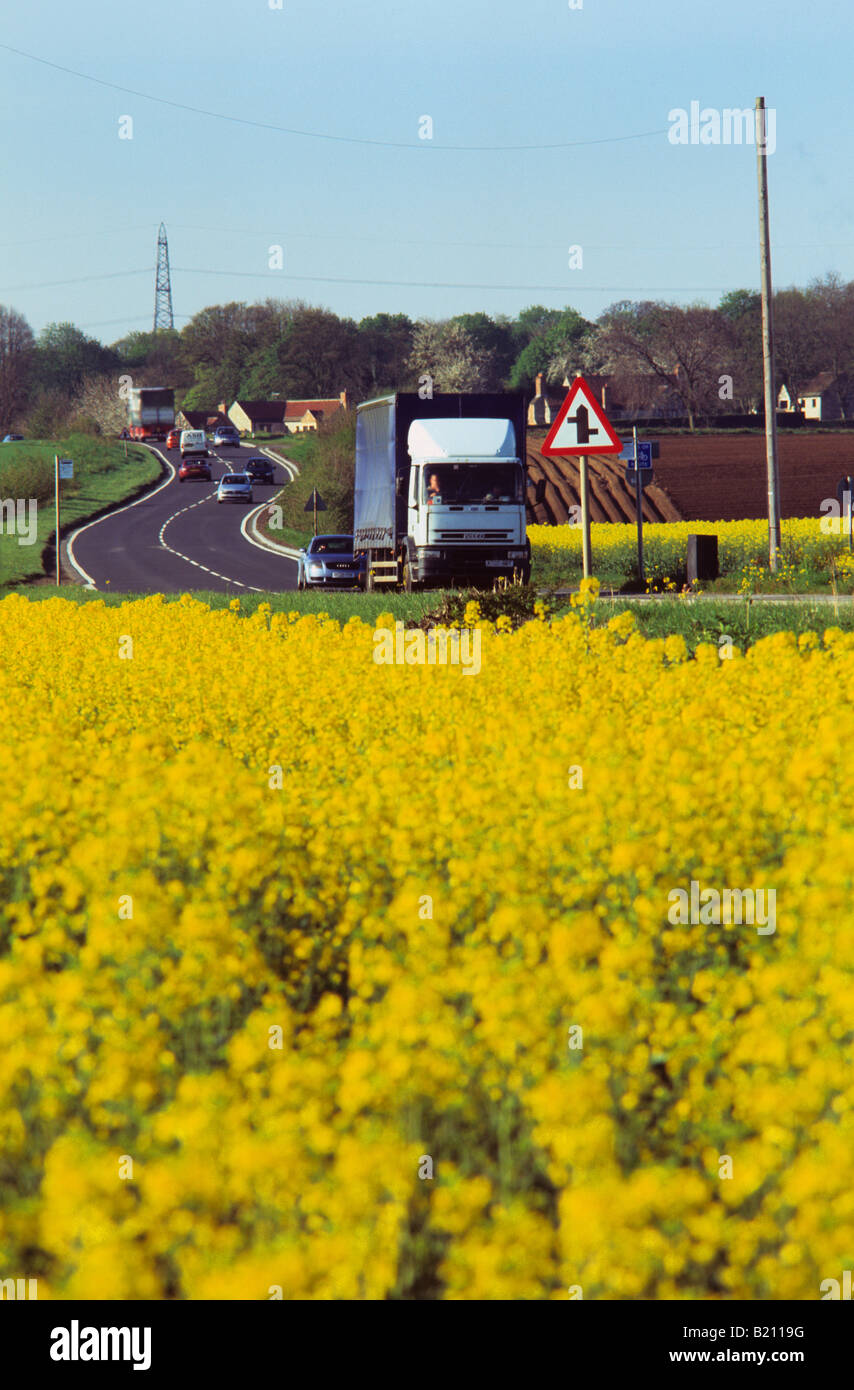 Le trafic passant domaine de l'huile de colza (Brassica napus) près de Leeds Yorkshire UK Banque D'Images