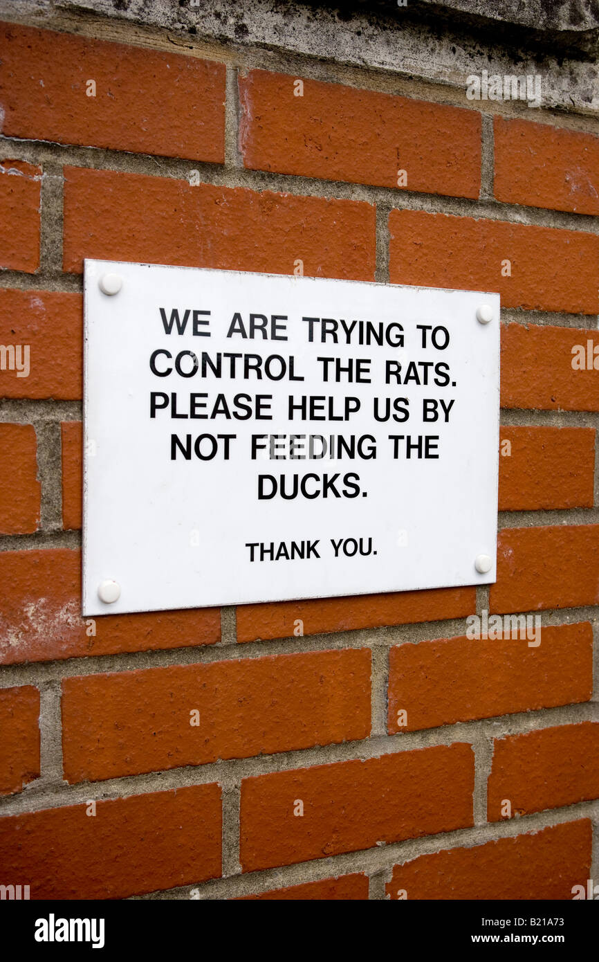 Signe de rat Essex Halstead Banque D'Images