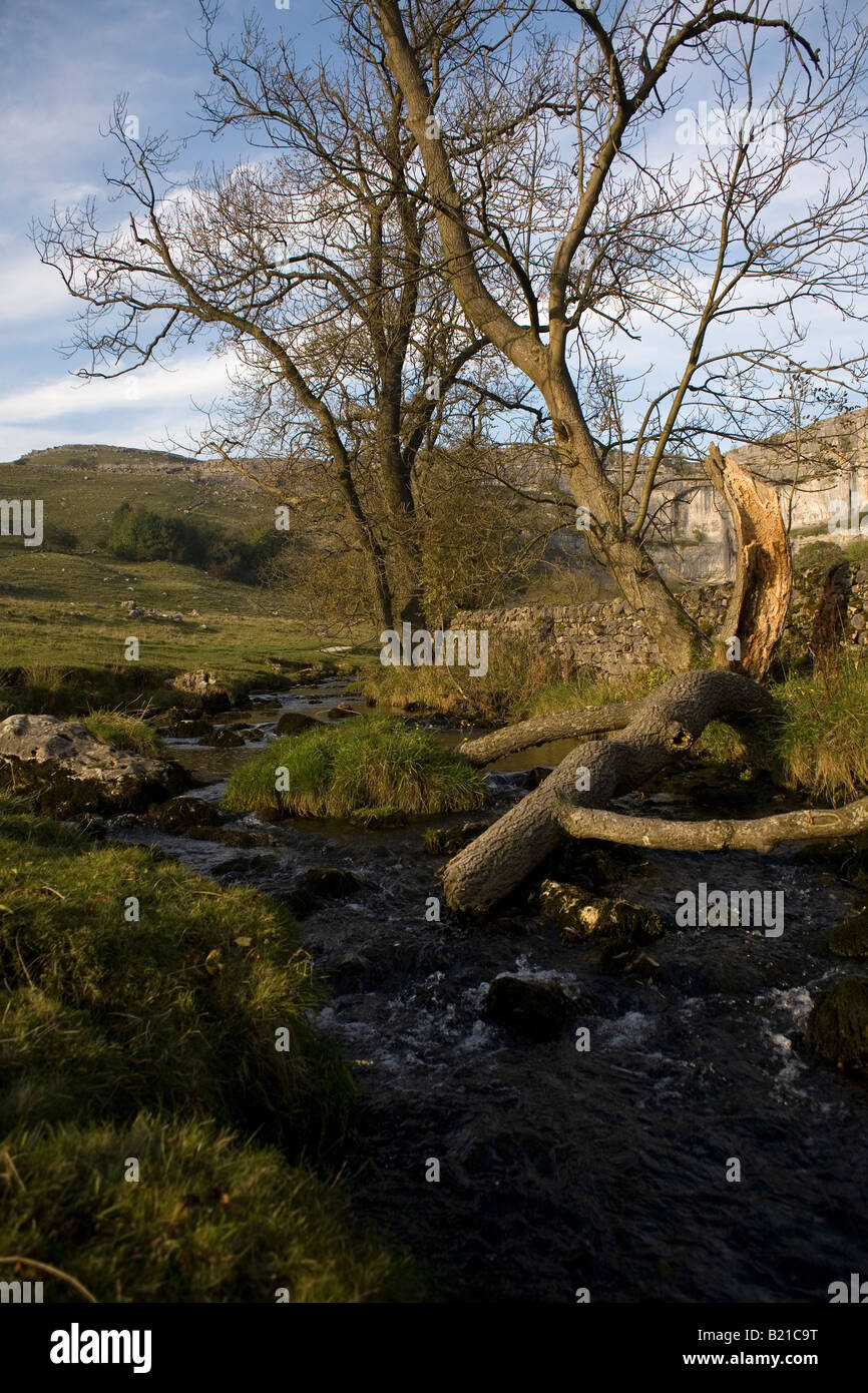 Vue sur la rivière, Malham, yorkshire Banque D'Images