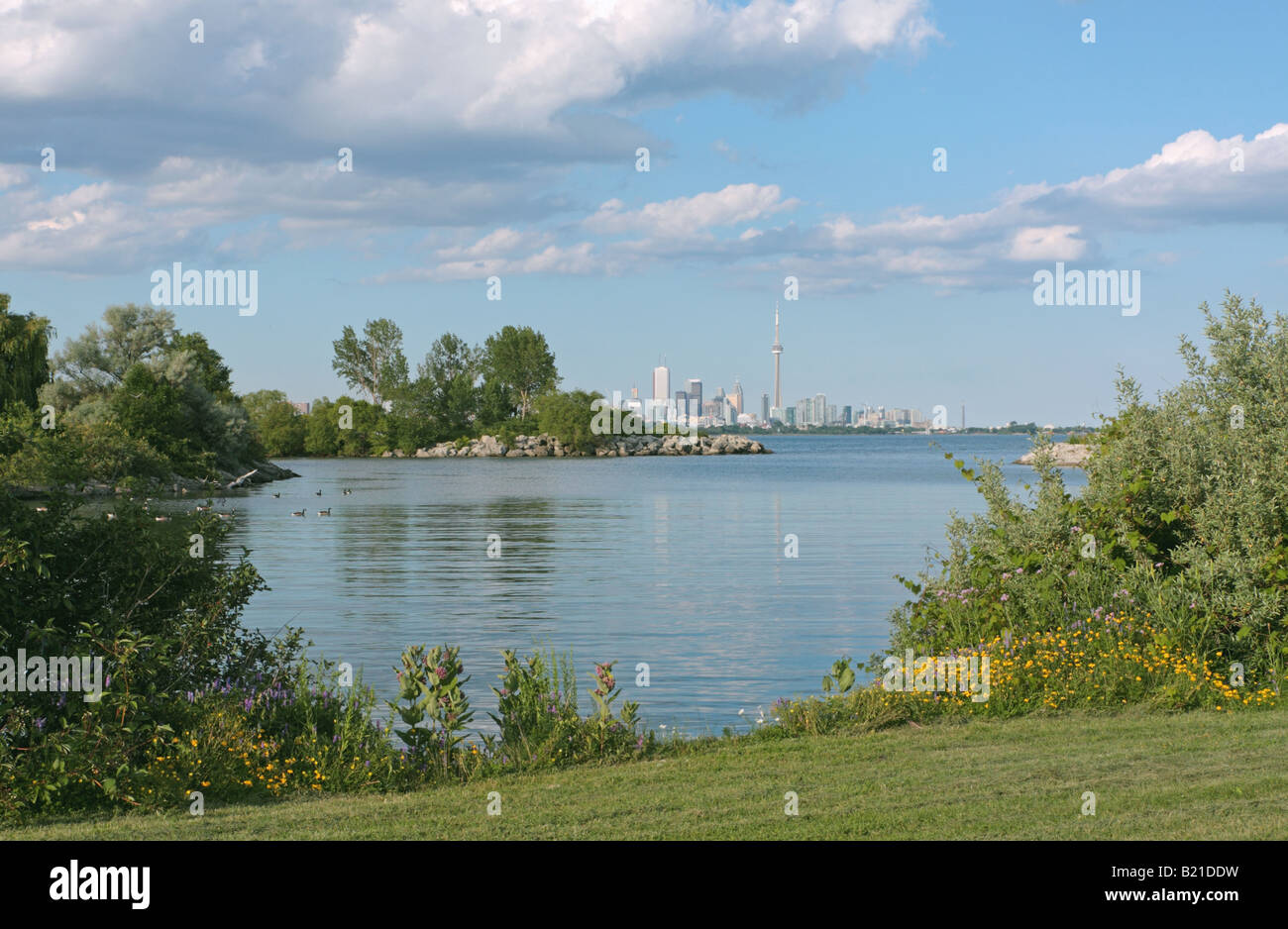 Vue sur le centre-ville de Toronto Waterfront pré dans la baie Humber Banque D'Images