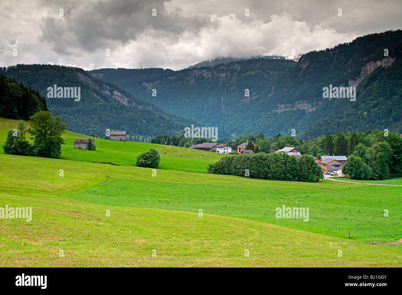 Prairie, village de Schwarzenberg, district de la région de Bregenzerwald Vorarlberg, Autriche, Banque D'Images