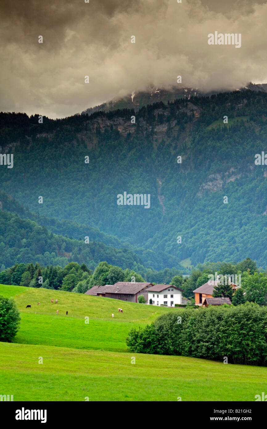 Prairie, village de Schwarzenberg, district de la région de Bregenzerwald Vorarlberg, Autriche, Banque D'Images