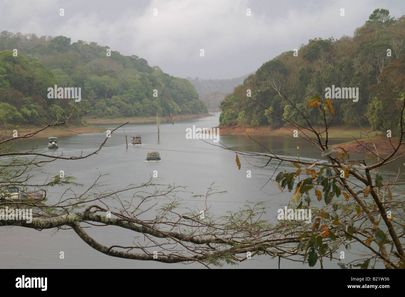Vue sur le lac de Periyar Tiger Reserve, Kerala, Inde Banque D'Images