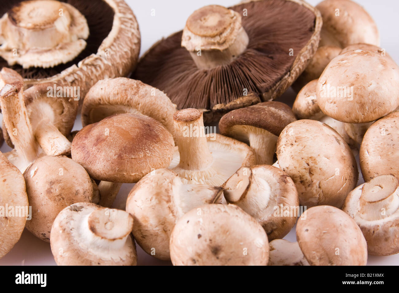 Cremini brun, shiitake, Champignons Portobello Banque D'Images