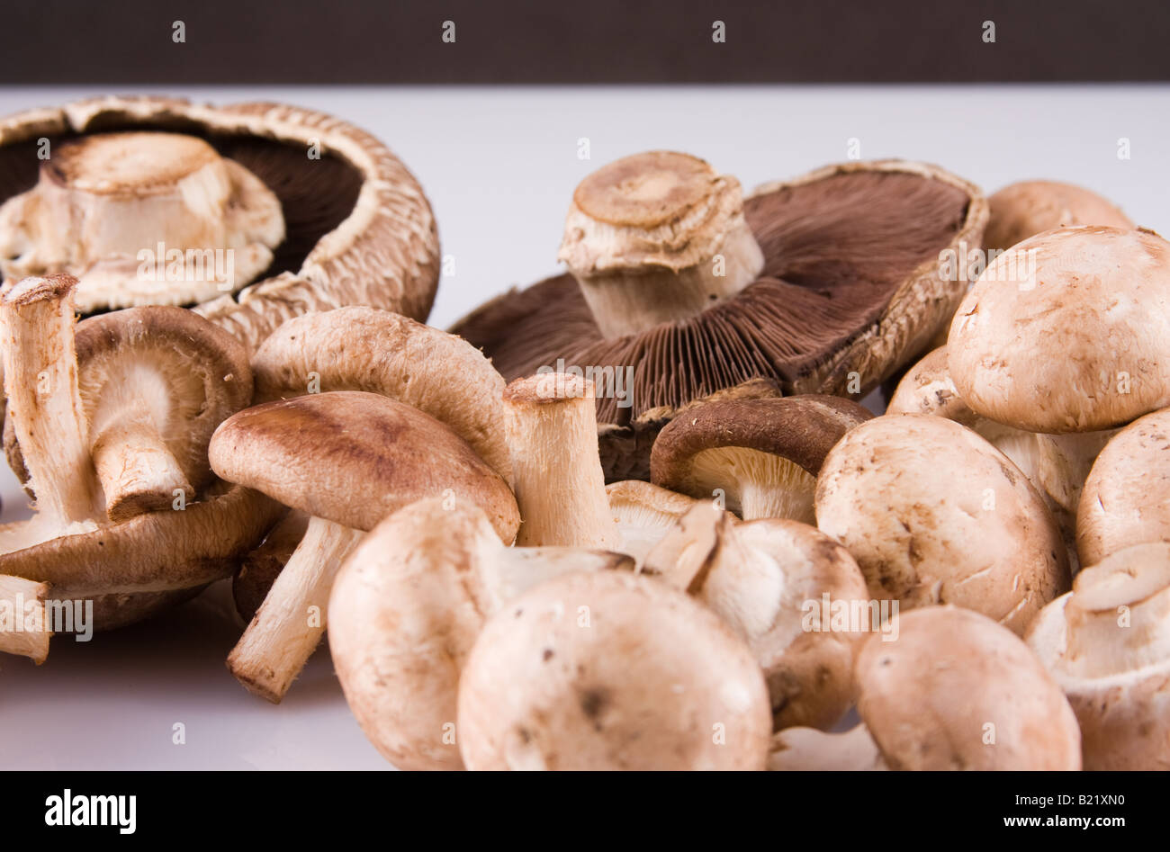 Cremini brun, shiitake, Champignons Portobello Banque D'Images