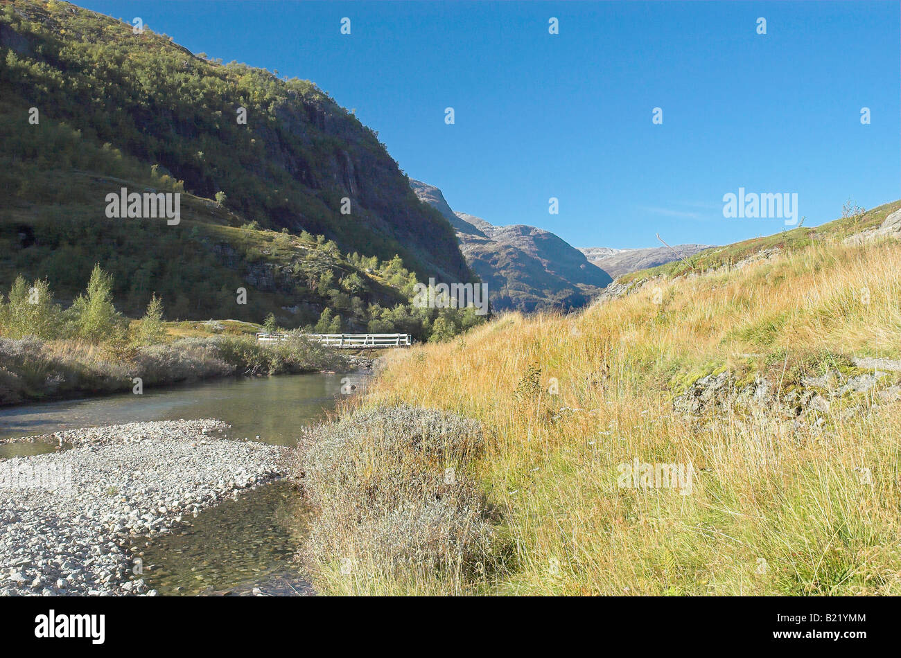 Creek et de sentiers pour la randonnée pédestre et VTT à proximité de Myrdal, Norvège Banque D'Images