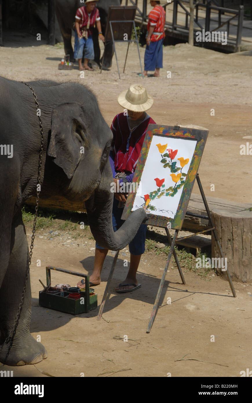 Artiste de l'éléphant à Maesa Elephant Camp, Mae Sa Valley, près de Chiang Mai, dans le nord de la Thaïlande Banque D'Images Artiste de l'éléphant à Maesa Elephant Camp, Mae Sa Valley, près de Chiang Mai, dans le nord de la Thaïlande Banque D'Images