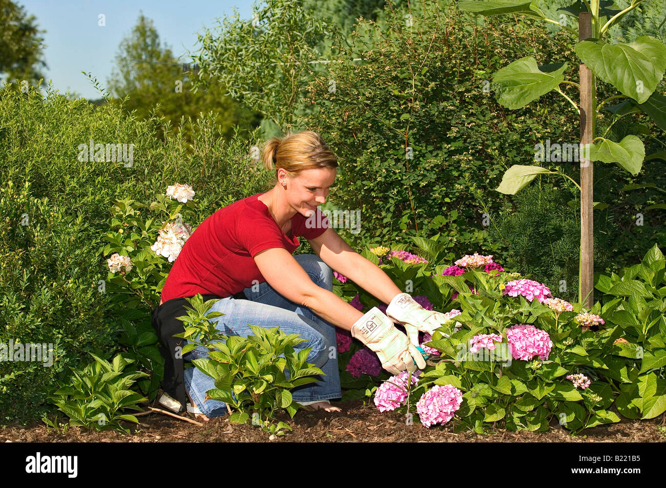 Jardinage gants femmes fleur d'été passe-temps blonde smile s'agenouiller jardin jardin travaux Banque D'Images