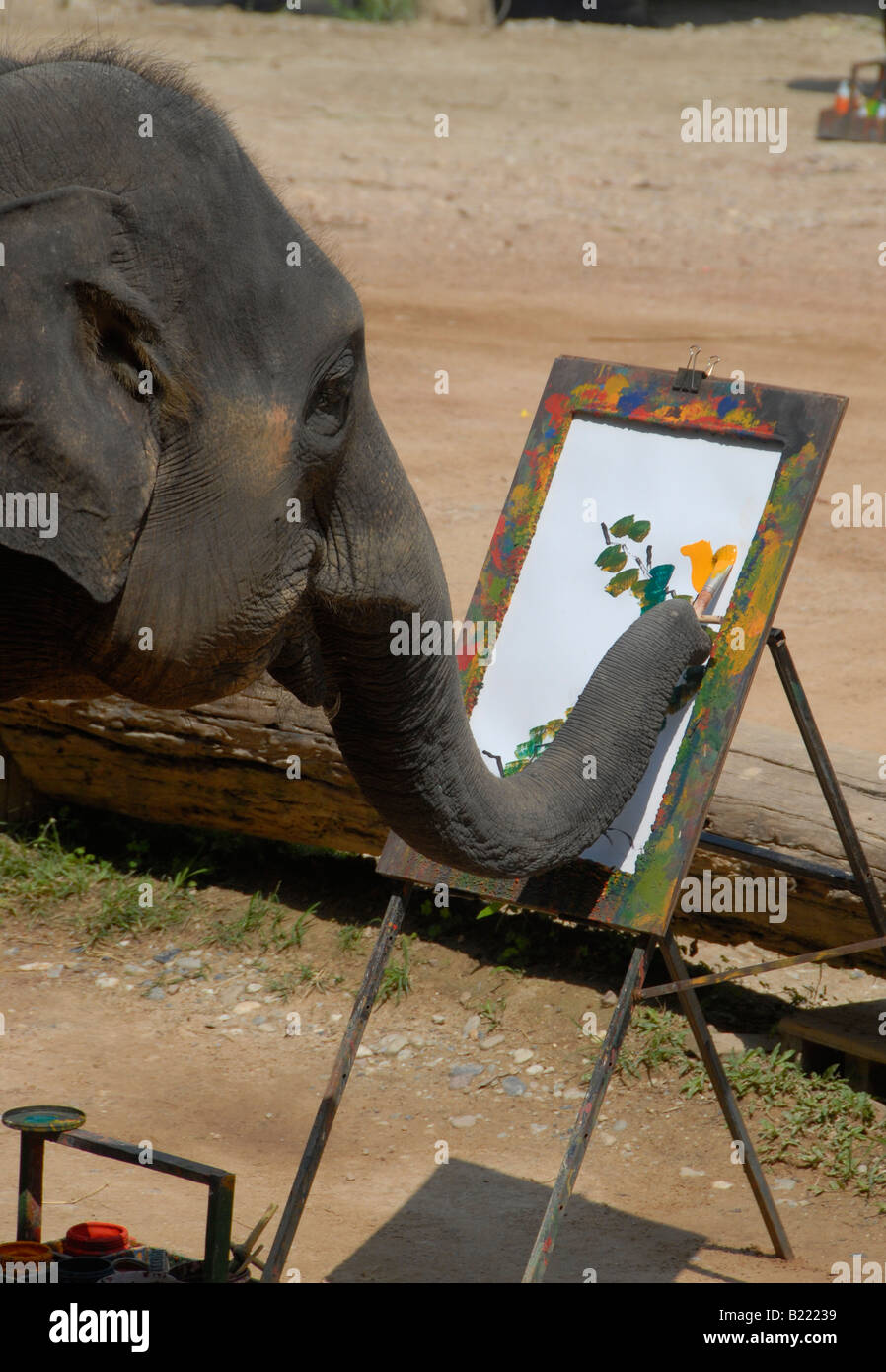Peinture d'éléphant, Maesa Elephant Camp, près de Chiang Mai, dans le Nord de la Thaïlande Banque D'Images Peinture d'éléphant, Maesa Elephant Camp, près de Chiang Mai, dans le Nord de la Thaïlande Banque D'Images