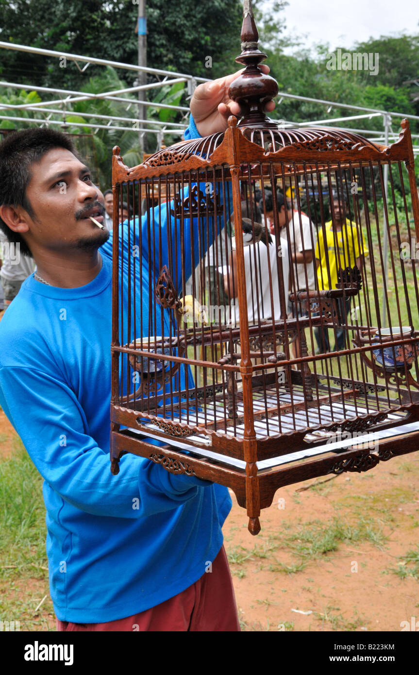 Sifflement d'oiseaux en cage,concours d'oiseaux chanteurs , kuanmaidum  Bulbul village, palian, district de la province de Trang, sud de la  Thaïlande Photo Stock - Alamy