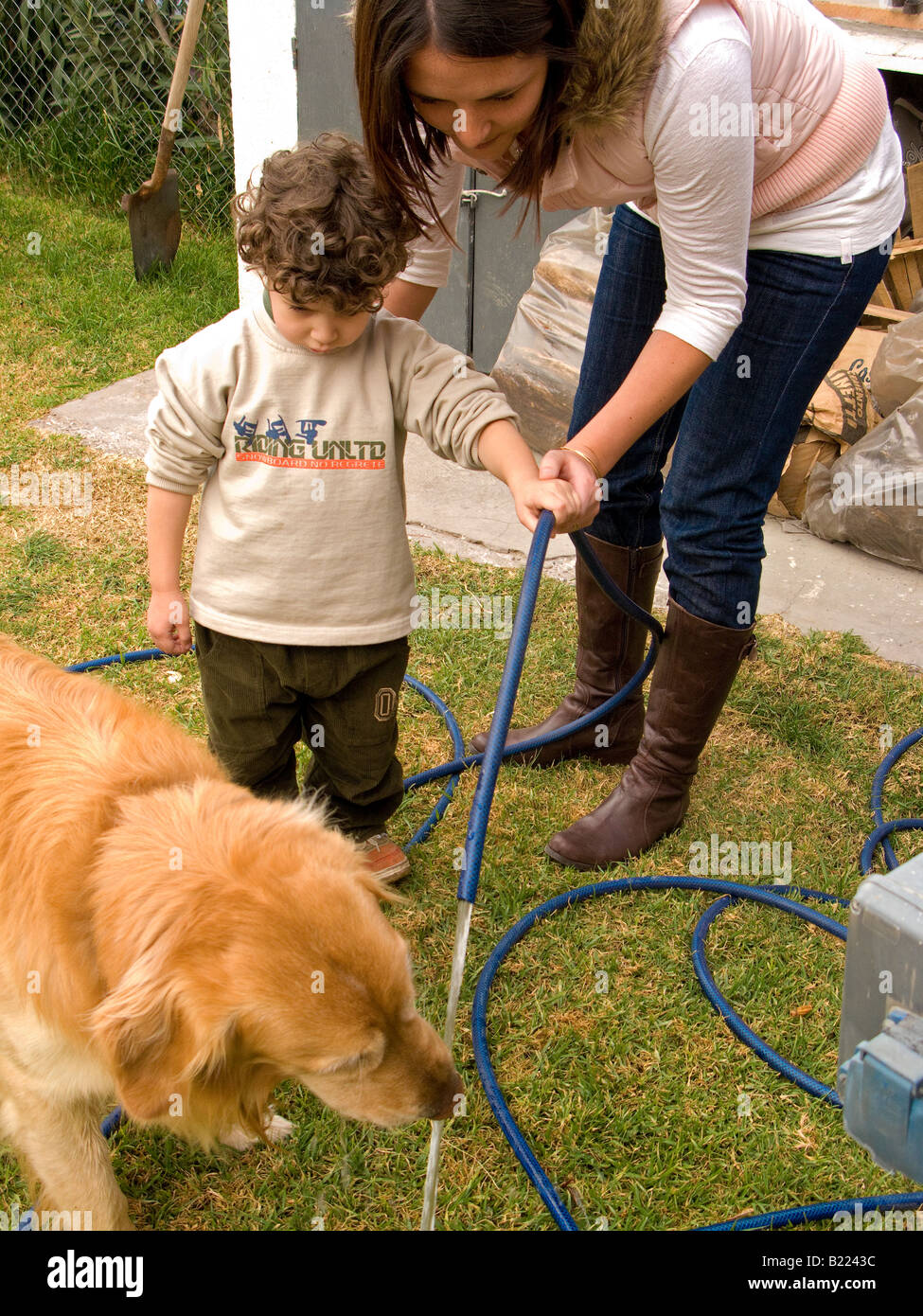 Petit enfant jouant avec un chien Banque D'Images