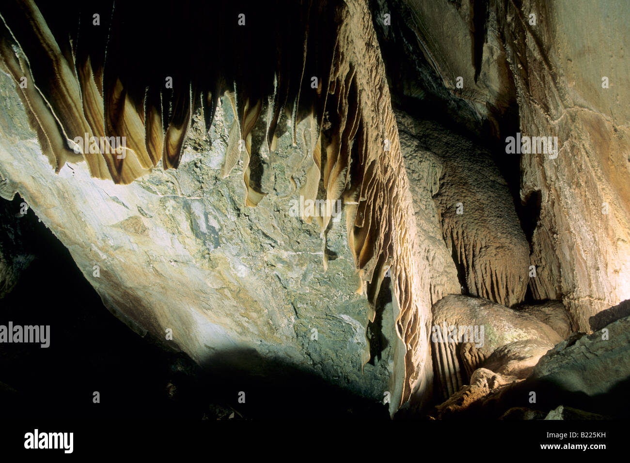 Mercer Caverns Murphys Comté de Californie Banque D'Images