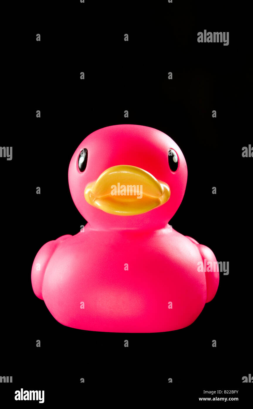 Canard de bain en plastique rose sur fond noir Banque D'Images