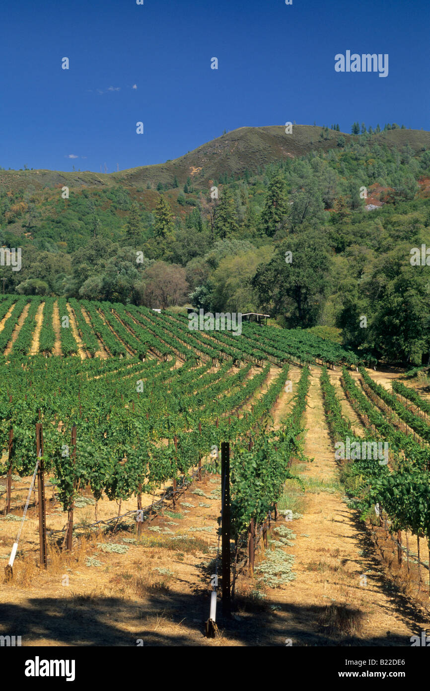 Stevenot Winery près de Murphys Ranch Comté de Californie Banque D'Images