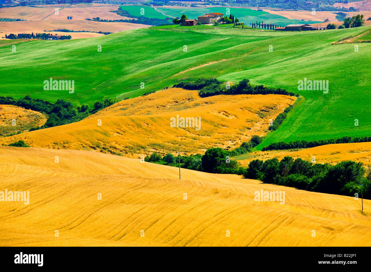 Paysage près de Pienza en Toscane Banque D'Images