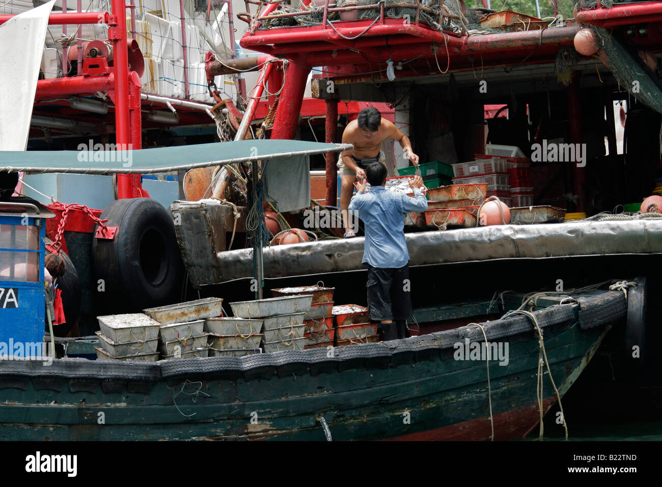Poissons de mer chinois paniers, Causeway Bay, Hong Kong, Chine Banque D'Images