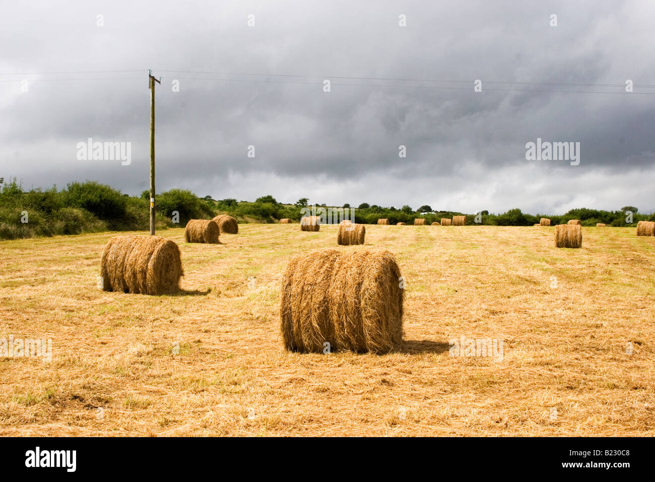 La récolte en Irlande avec les nuages de tempête gathering Banque D'Images