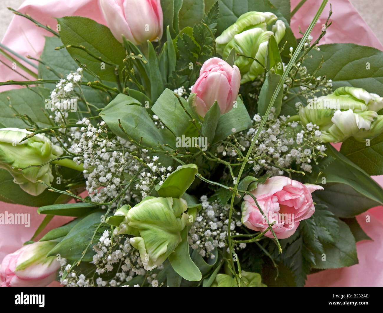 Joli Bouquet De Fleurs Roses Avec Des Tulipes Et Souffle De