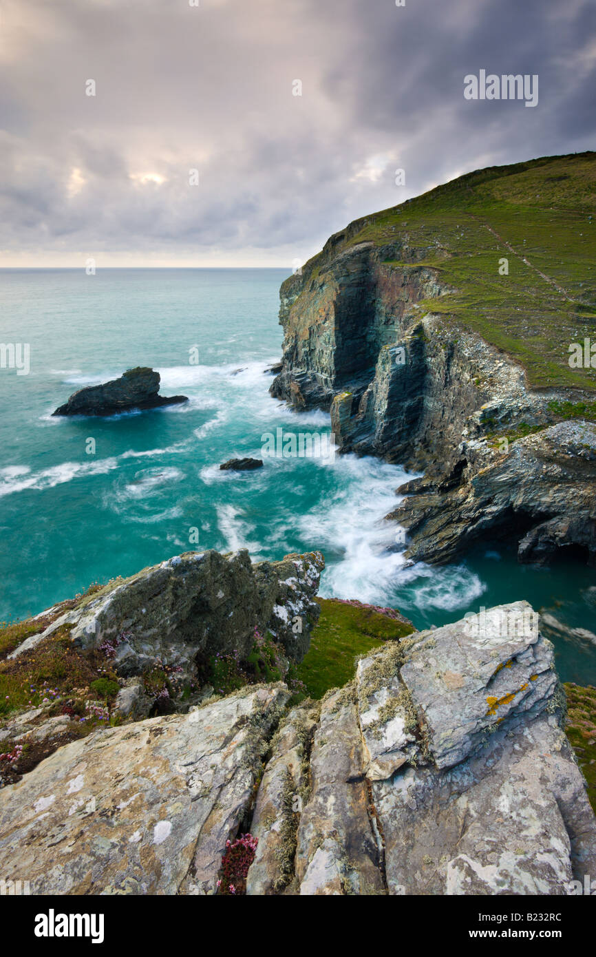 Au-dessus de Clifftops Backways Cove, sur la côte nord des Cornouailles en Angleterre Banque D'Images