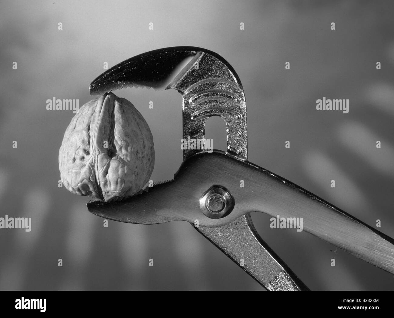 Concept difficile à implémenter en noyer de l'image d'une clé à tuyauter mâchoires Banque D'Images