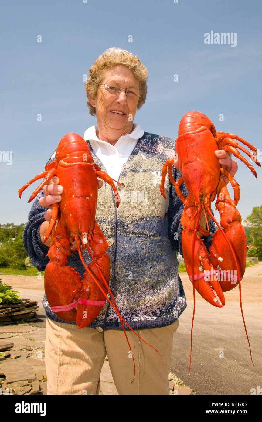 Canada Nouveau-brunswick Woman holding up grande baie de Fundy Le Homard Homard Boutique Alma Alma Village de pêcheurs de la baie de Fundy Banque D'Images