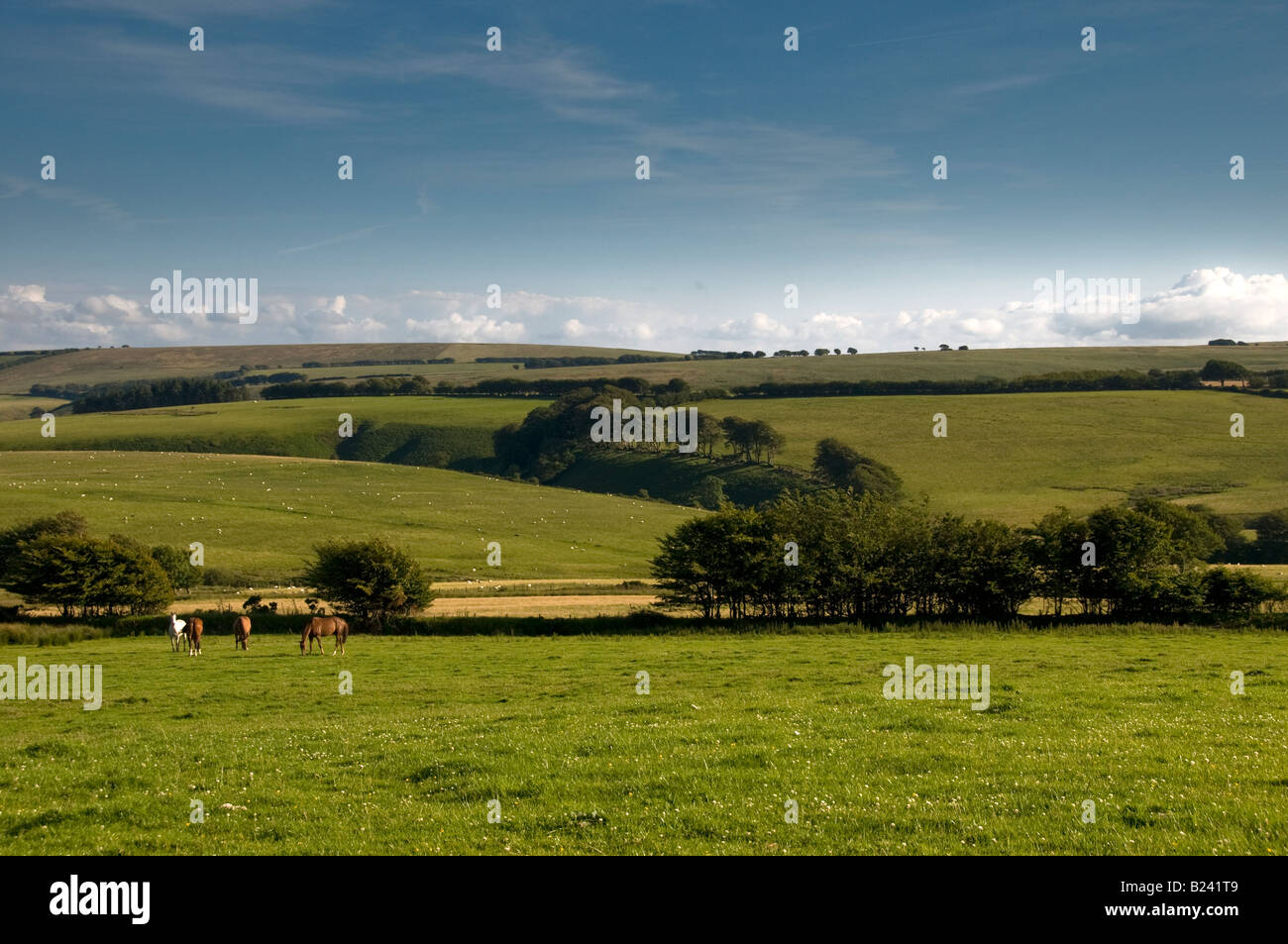 Voir en terres agricoles dans les régions rurales de campagne près de Simonsbath Minehead. Parc National d'Exmoor. Le Somerset. L'Angleterre Banque D'Images