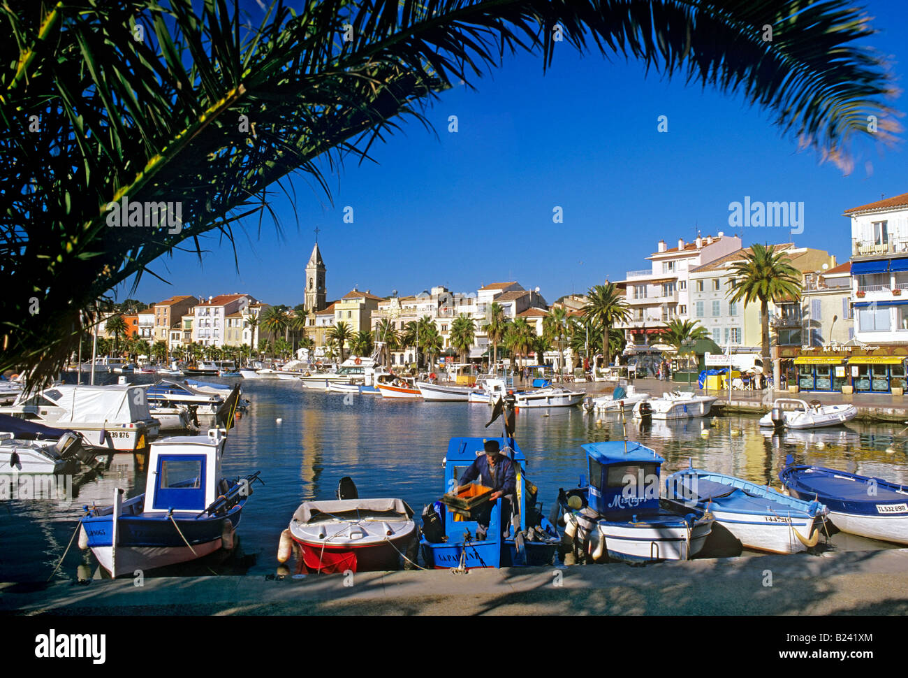 Sanary sur Mer port avec les pêcheurs de décharger ses prises encadrée par palmier Cote d Azur Sud de la France Banque D'Images