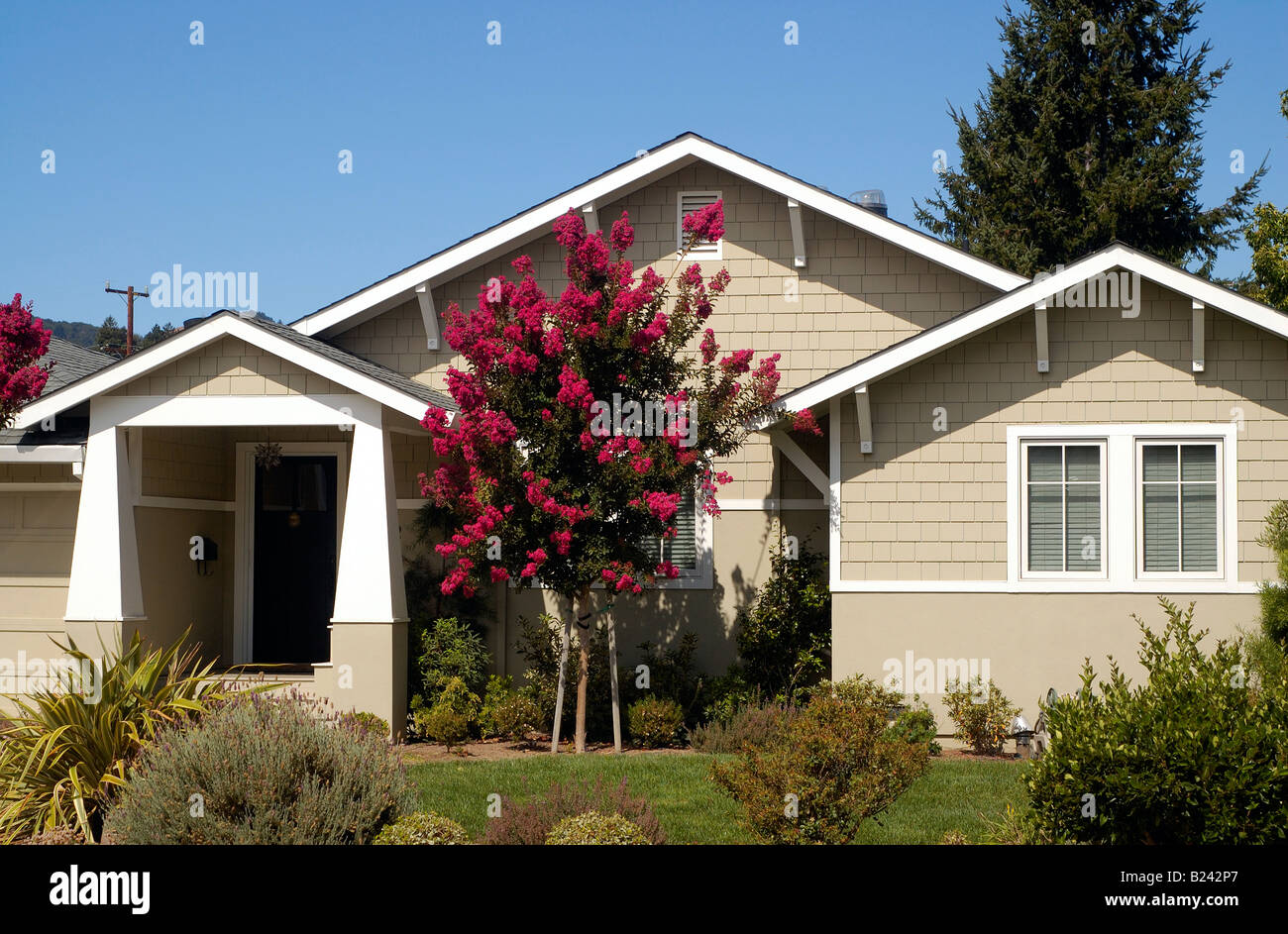 Une maison de banlieue dans le comté de Marin en Californie une belle maison de luxe sous le ciel bleu avec un arbre avec des fleurs rouges à l'avant Banque D'Images