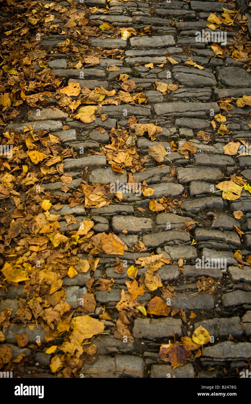 Chemin de galets tourné à l'automne recouvert de feuilles mortes Banque D'Images