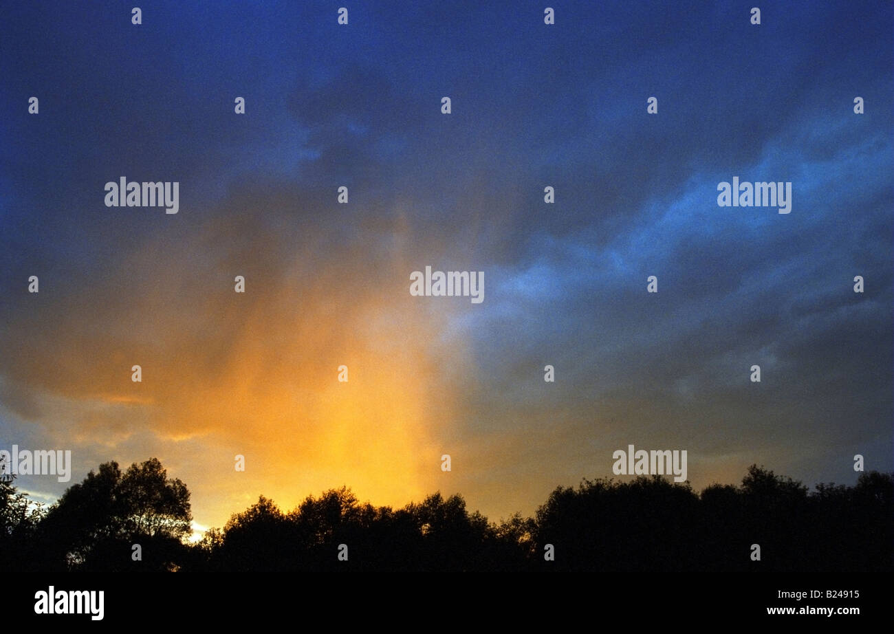 Phénomène atmosphérique - pluie jaune Banque D'Images