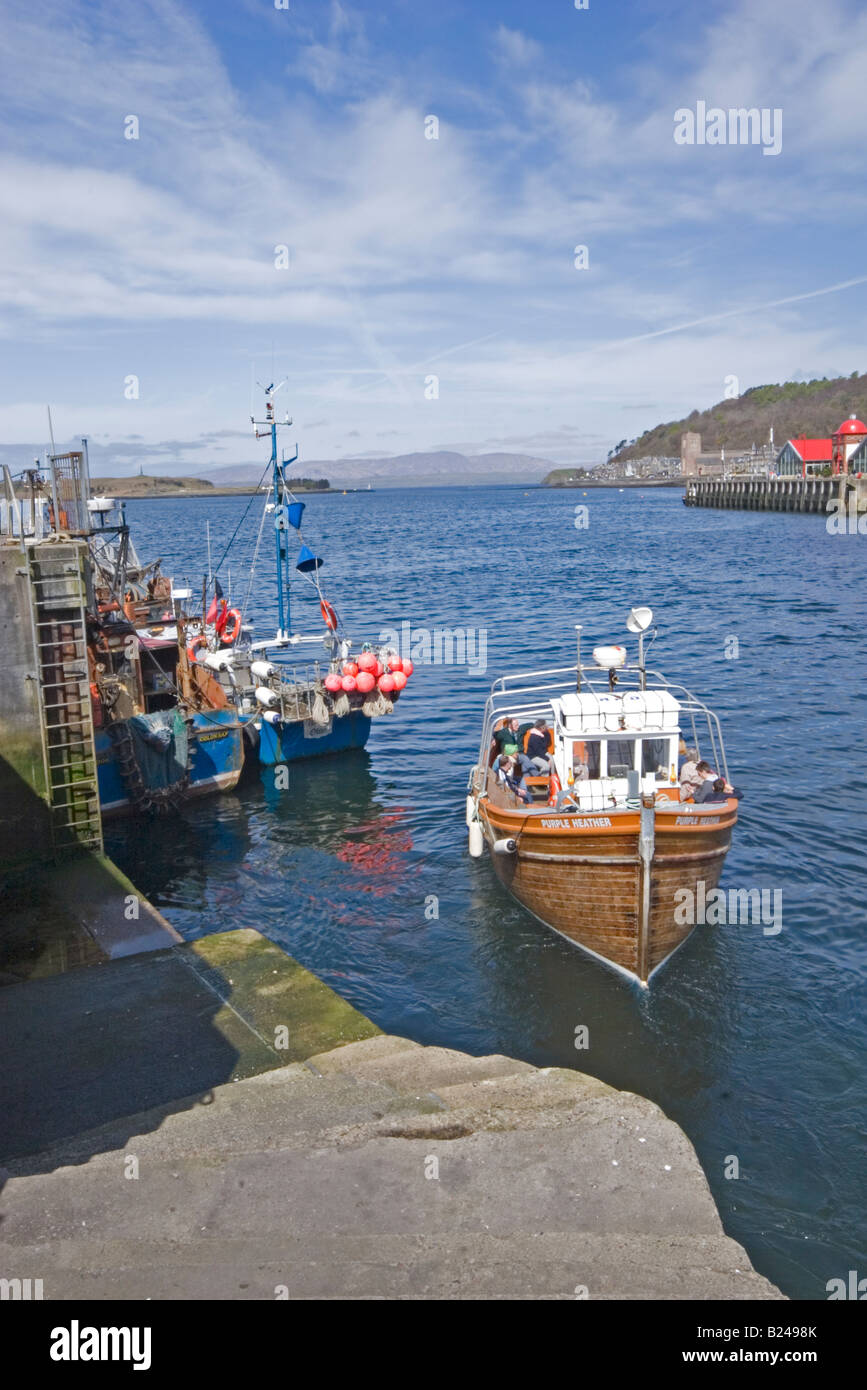Bateau de plaisance Purple Heather de casting à Oban Scotland UK Banque D'Images
