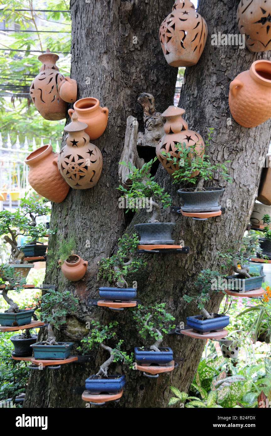 Pots en terre cuite et Bonsai arbres sur un tronc d'arbre Ho Chi Minh City Vietnam Banque D'Images