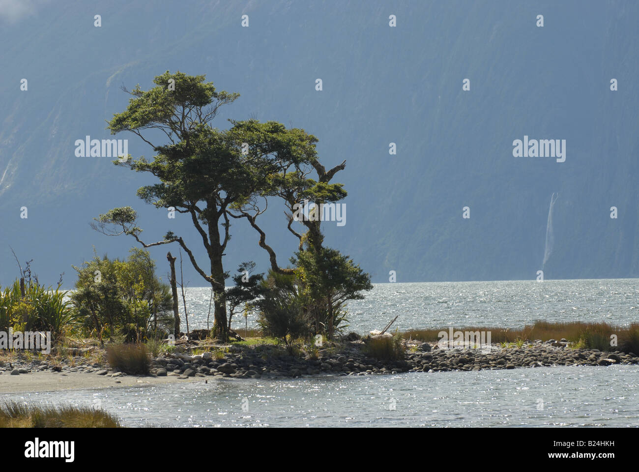 Milford Sound Banque D'Images