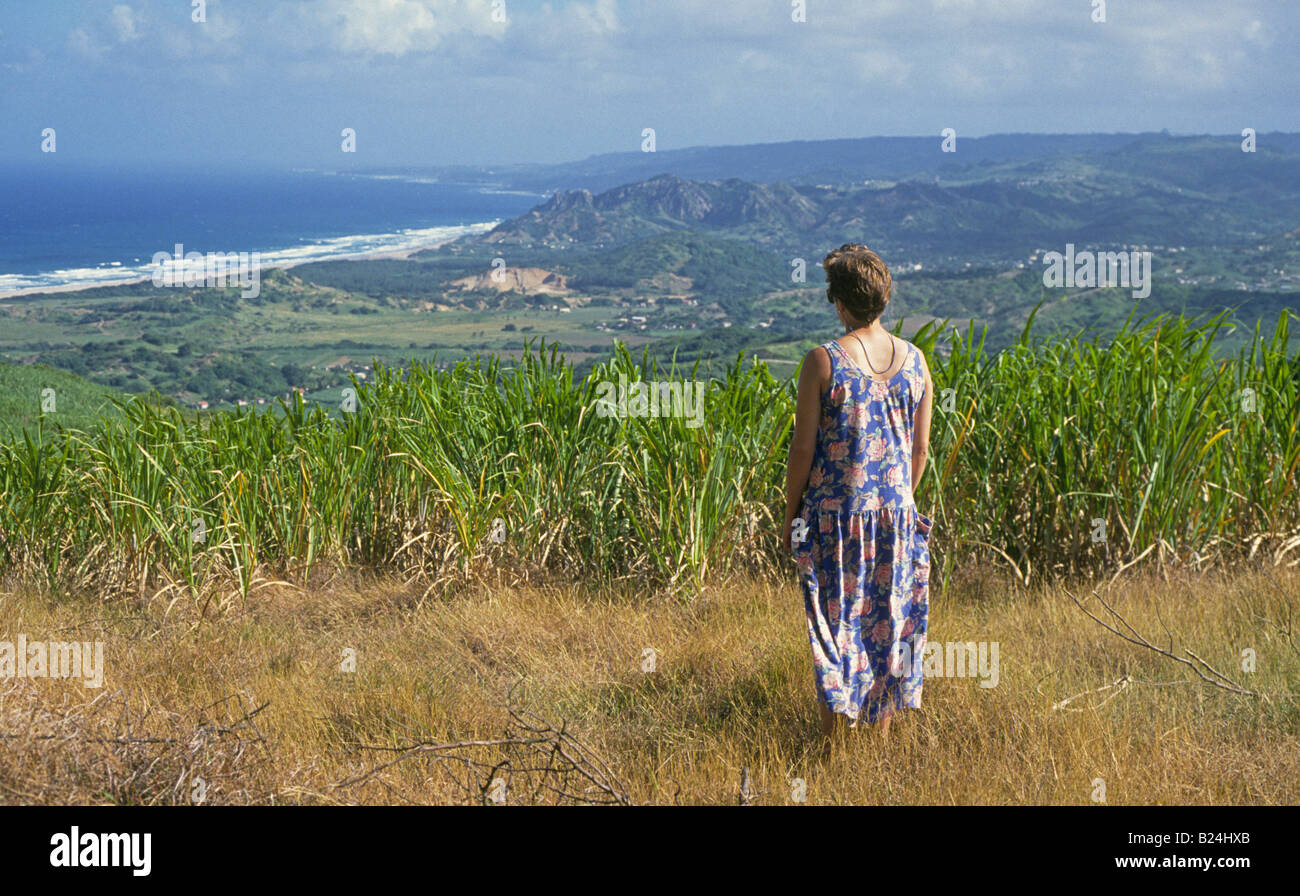 Un visiteur s'élève à un belvédère dans un champ de canne à sucre sur la côte nord sauvage de la Barbade Banque D'Images