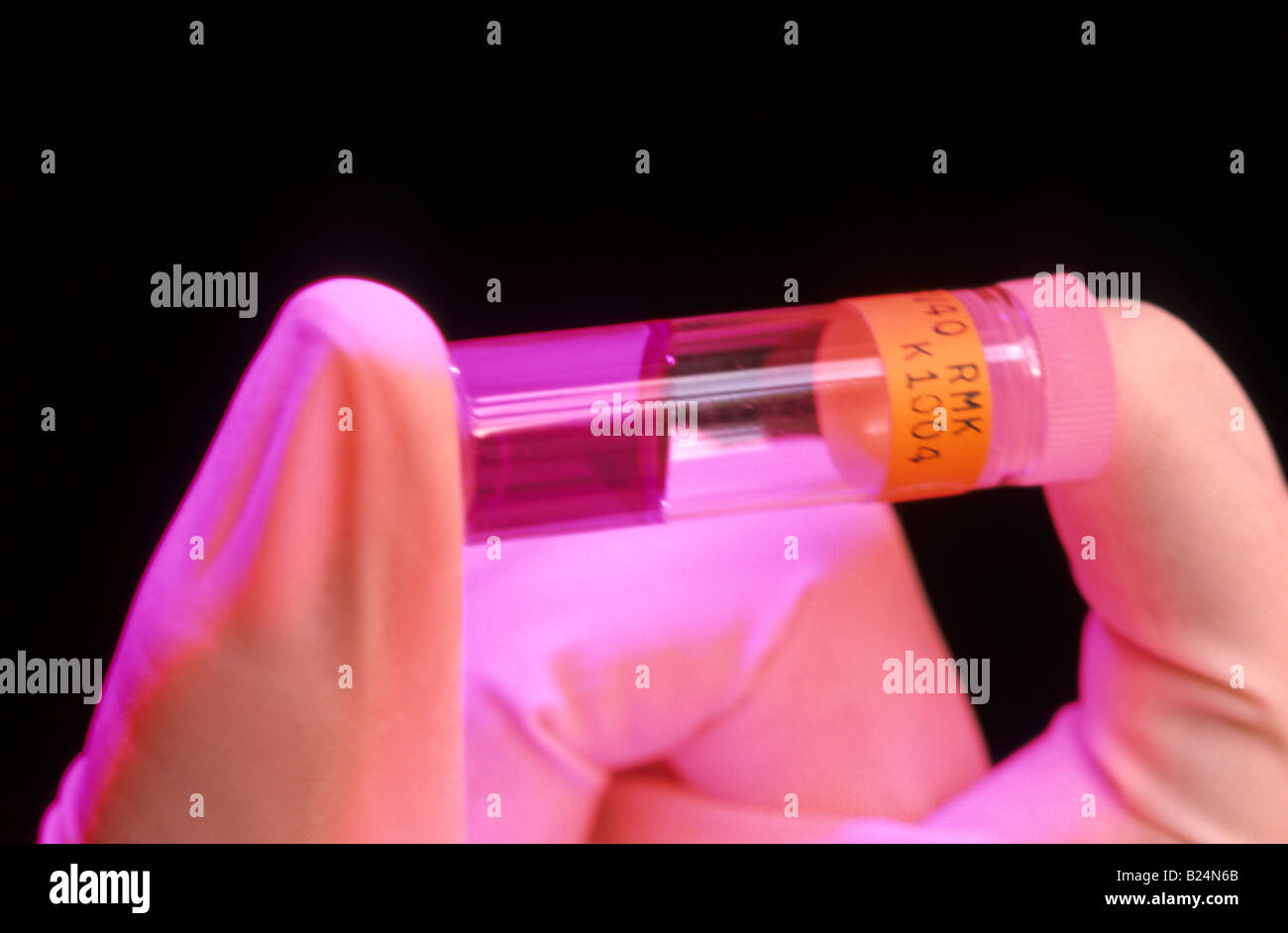 CLOSE UP GLOVED HAND HOLDING TEST TUBE Banque D'Images