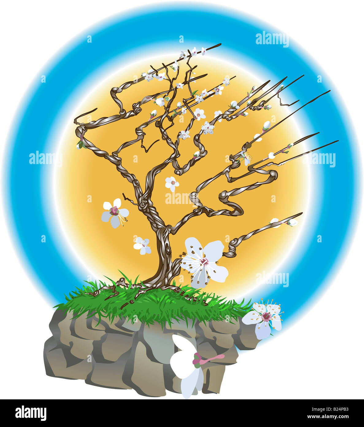 Le style oriental blossom tree. Un style oriental blossom tree sur une falaise exposée au vent avec des fleurs fleur de soufflage Banque D'Images