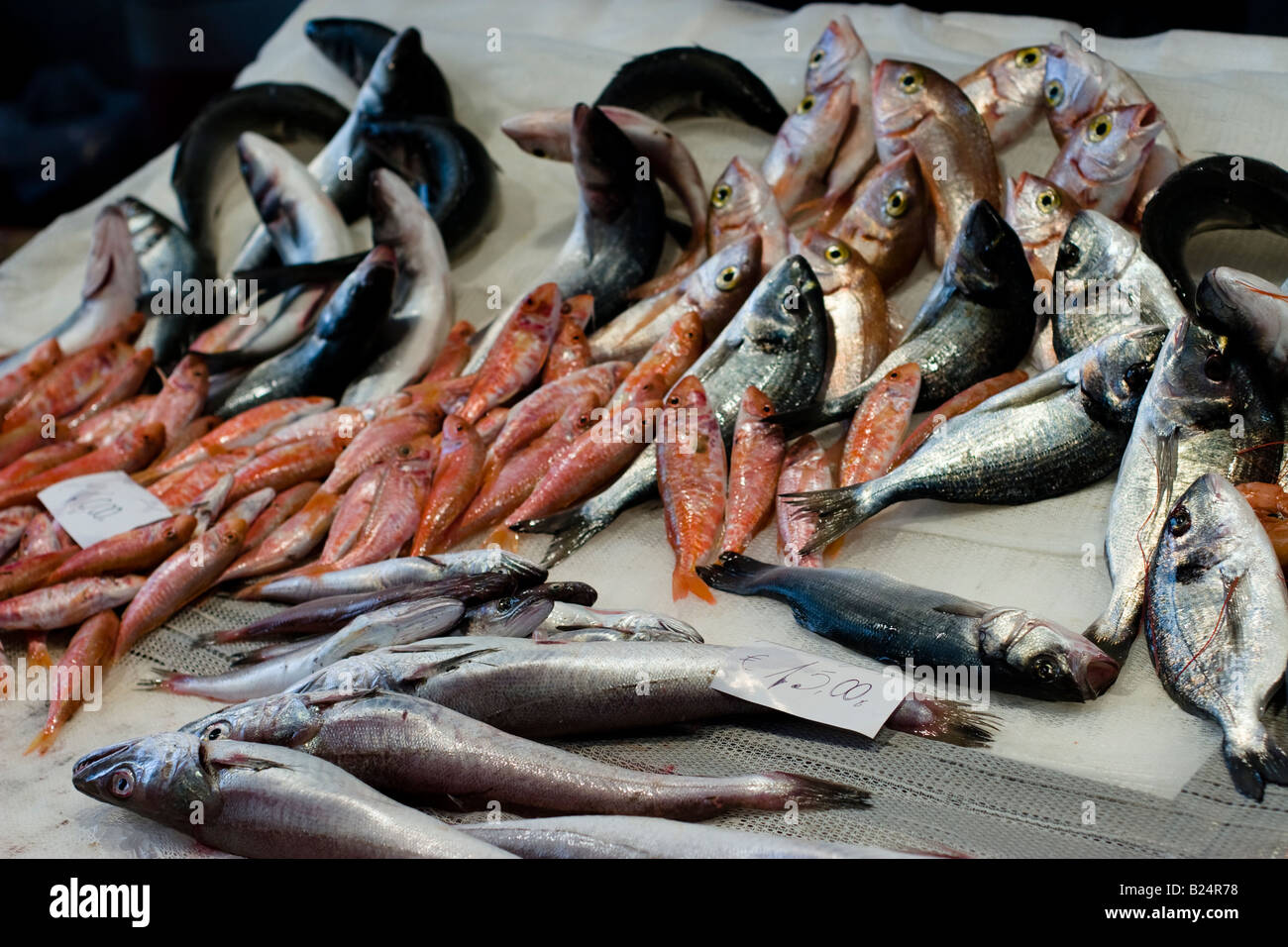 Poisson frais dans un bac au marché aux poissons de Catane La Pescheria di Sant Agata, Sicile, Italie Banque D'Images