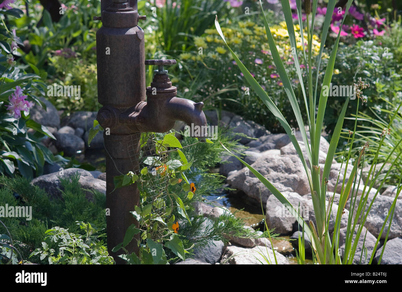 Fleur unique jardin avec étang et pompe à eau antique Banque D'Images