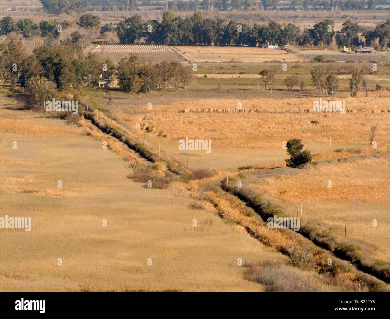 vue sur les pelouses sèches et longues distances Banque D'Images