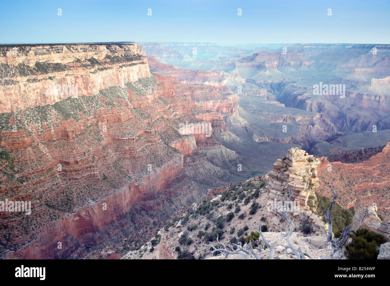 Voir à partir de la rive sud du Grand Canyon en Arizona USA Banque D'Images