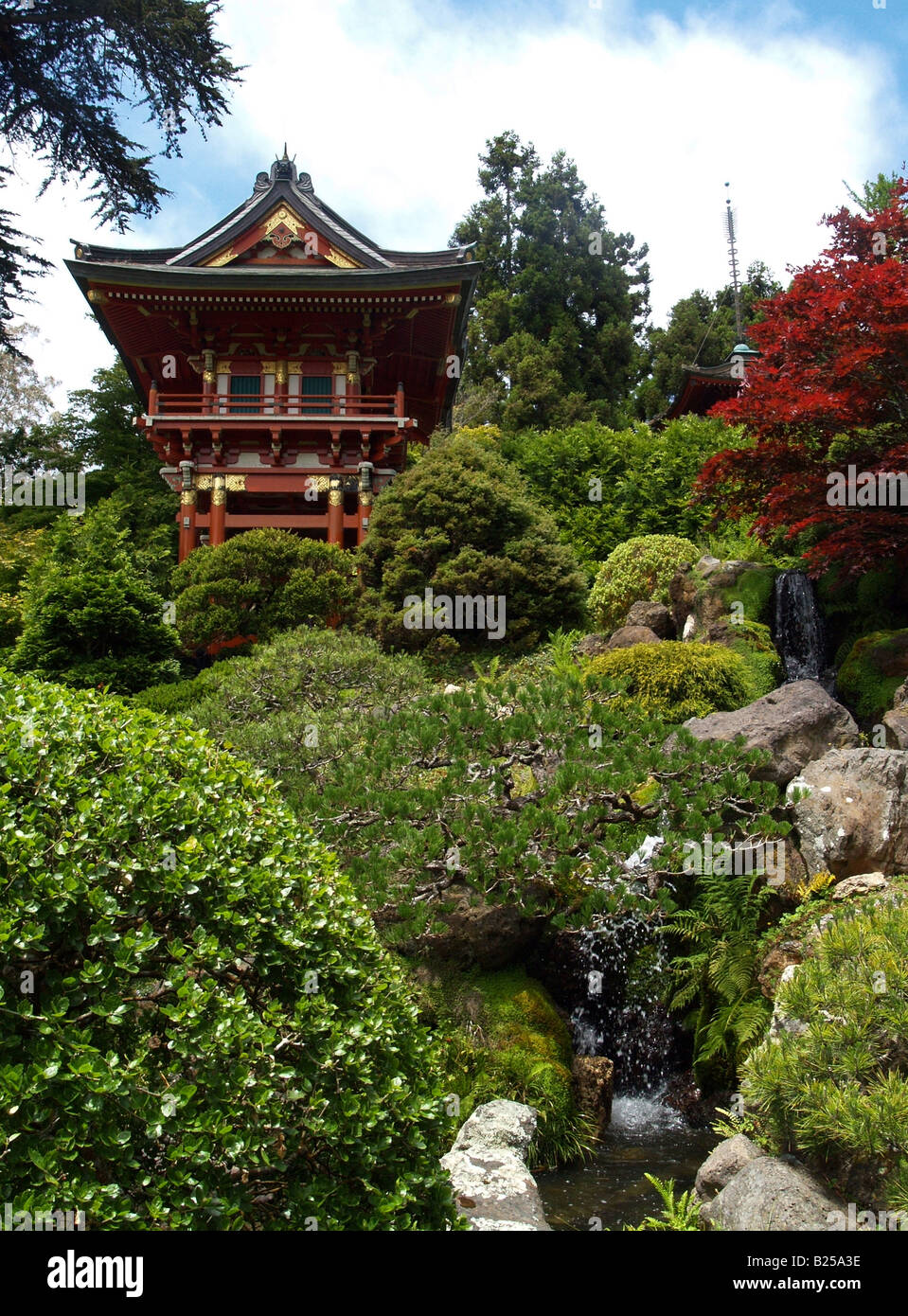 Pagode à San Francisco's Japanese Tea Gardens Banque D'Images
