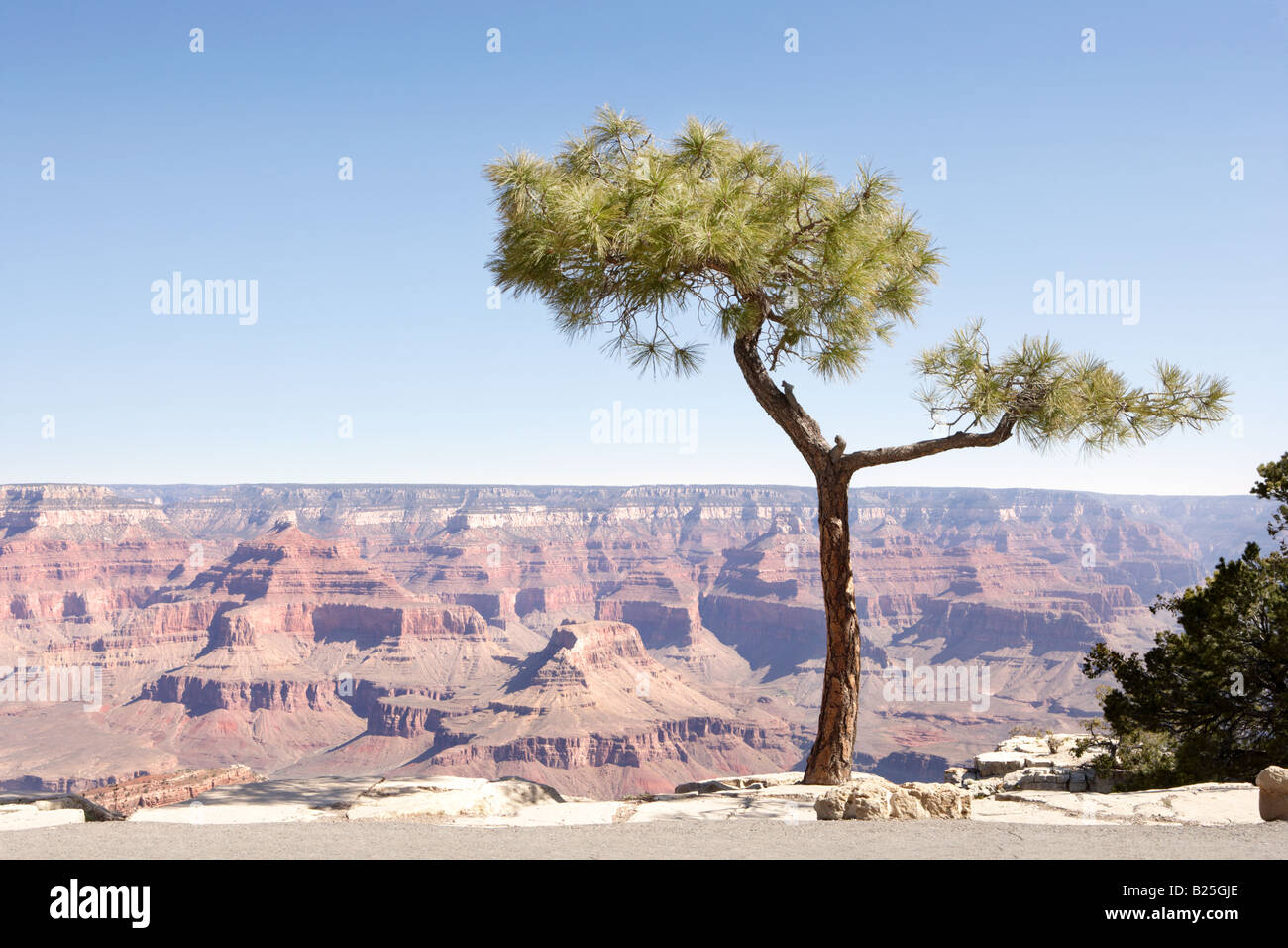 Voir à partir de la rive sud du Grand Canyon en Arizona USA Banque D'Images