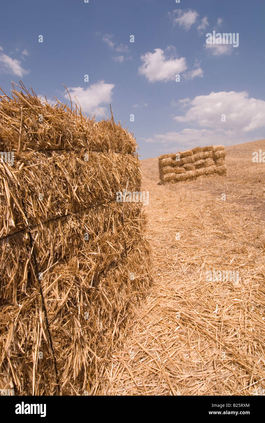 La paille récoltée en Andalousie, Espagne Banque D'Images