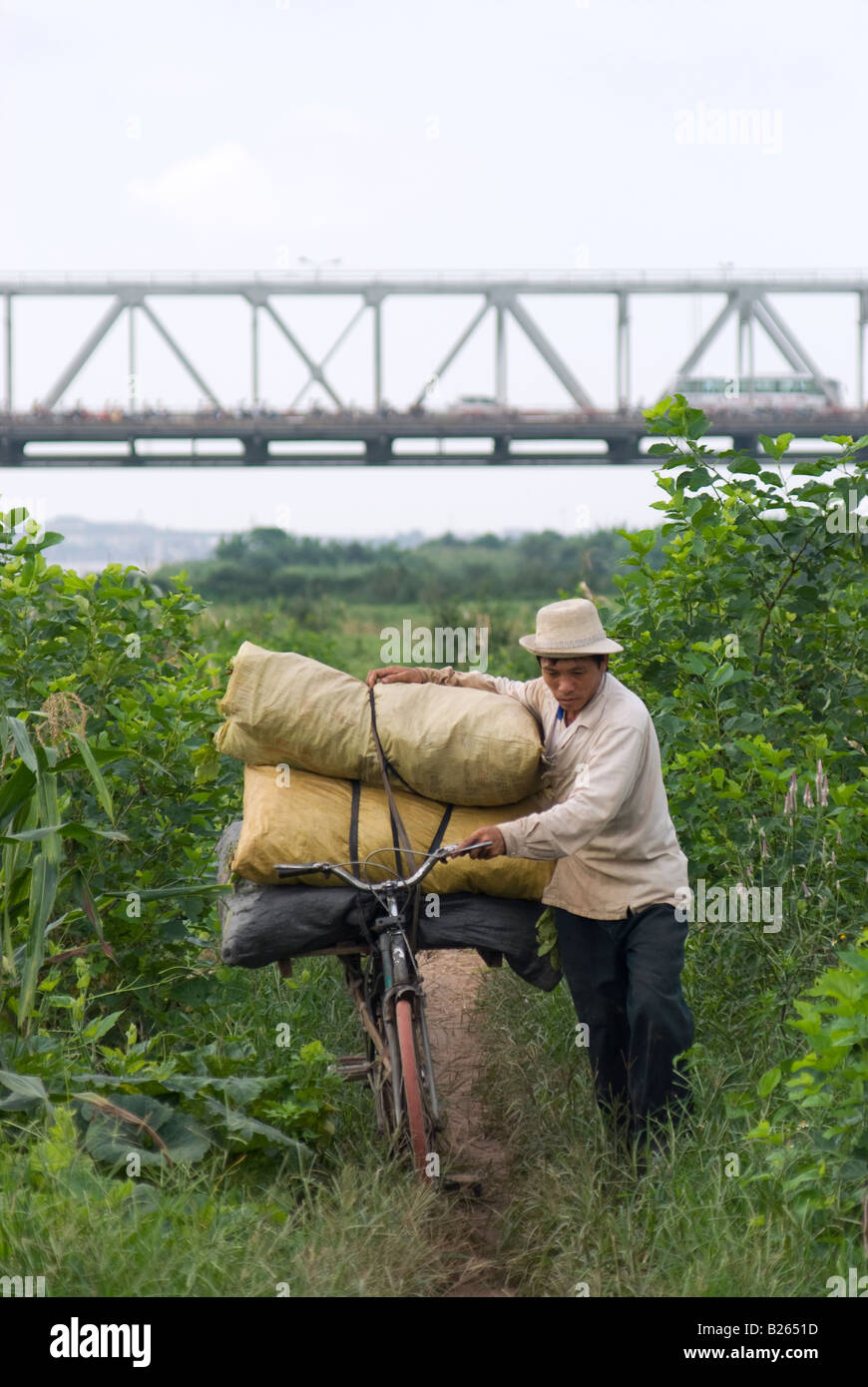 Agriculteur vietnamien marche avec son vélo lourdement chargé Banque D'Images