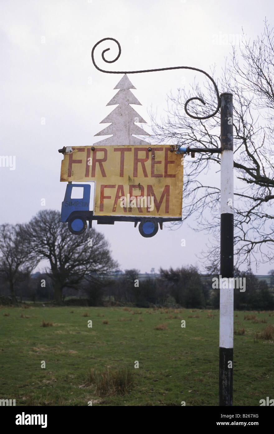 Près de Masham North Yorkshire. peint signe pour Sapin fait main ferme à couper le métal montrant des camions et des lettres à la main et arbres Banque D'Images