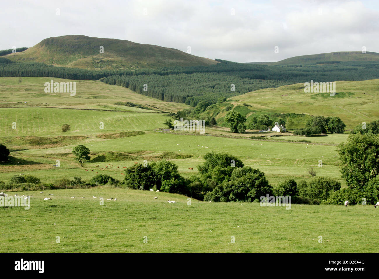 Paysage près de Loch Ard, Southern Highlands, Ecosse, Grande-Bretagne, Europe Banque D'Images