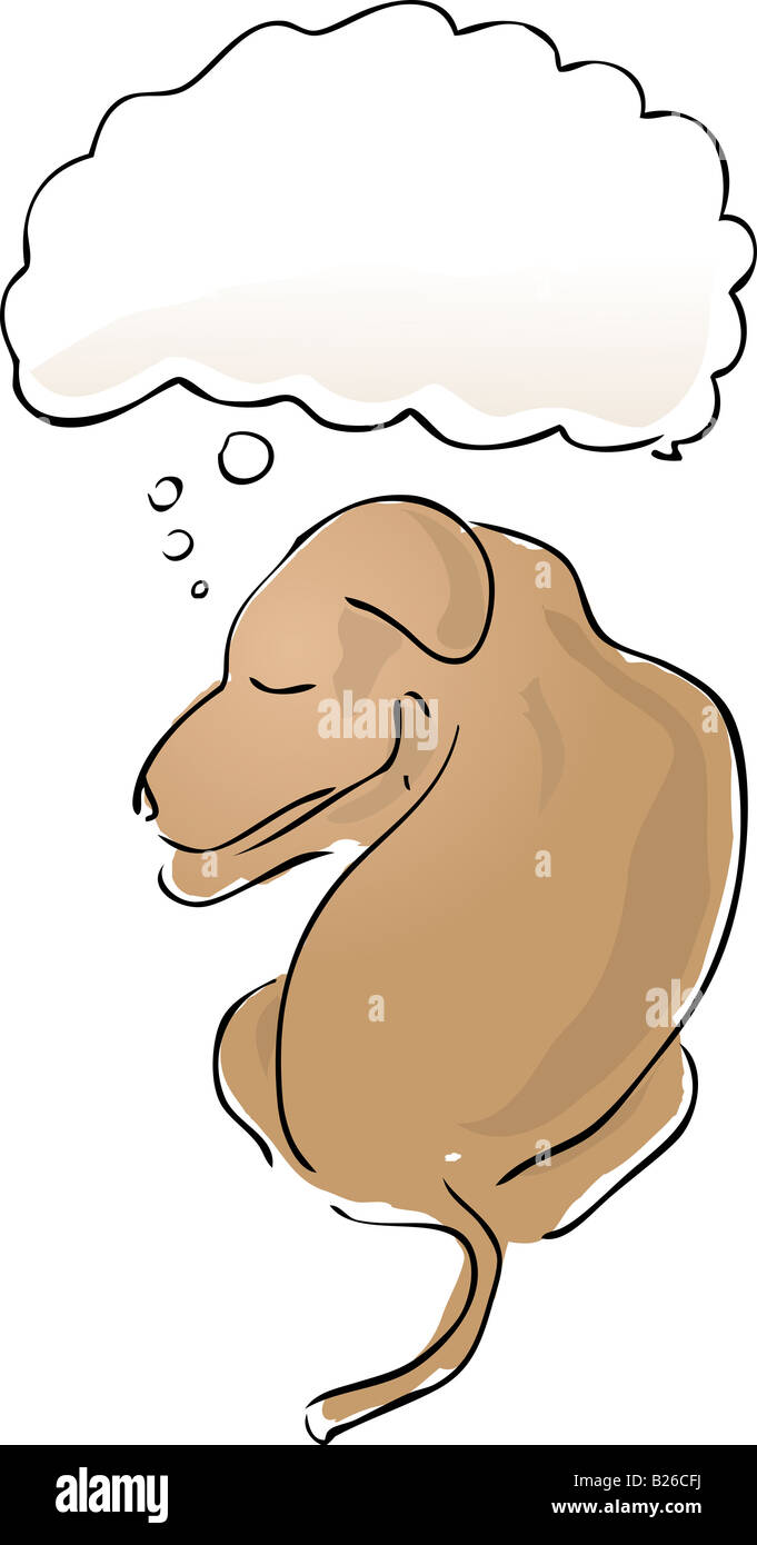 Illustration d'un chien mignon avec une pensée sur la tête de ballon Banque D'Images
