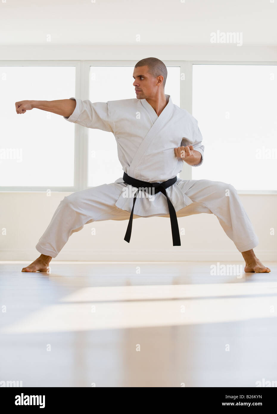 Hispanic male karate ceinture noire en position de combat Photo Stock -  Alamy